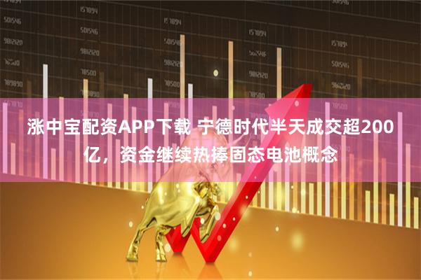 涨中宝配资APP下载 宁德时代半天成交超200亿，资金继续热捧固态电池概念