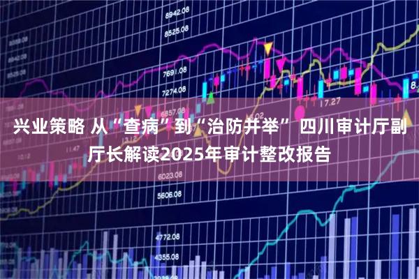 兴业策略 从“查病”到“治防并举” 四川审计厅副厅长解读2025年审计整改报告